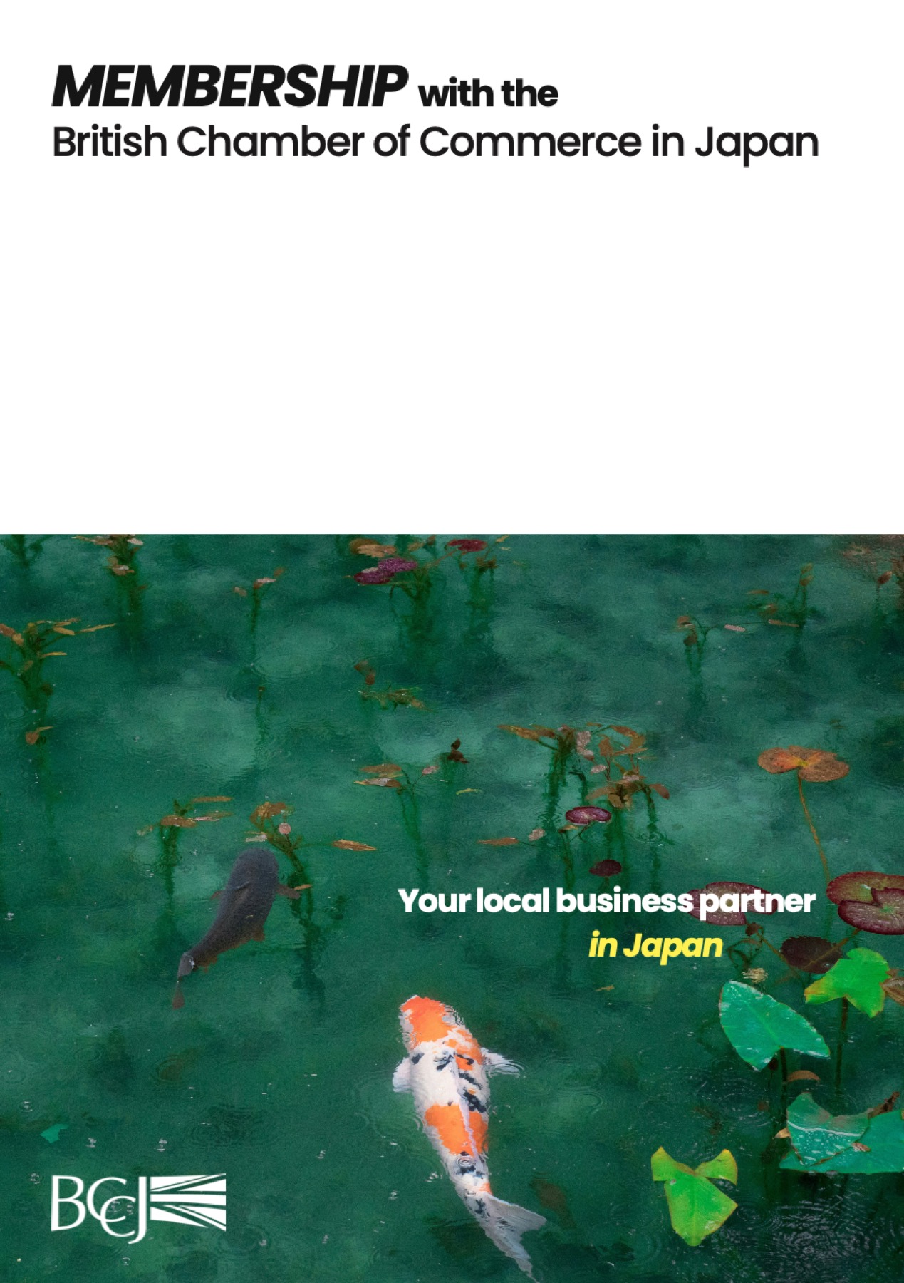 Cover of the BCCJ membership brochure, showing koi in a pond